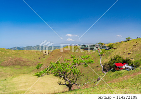 （静岡県）新緑の大室山・山頂の景観と後方に富士山 114272109