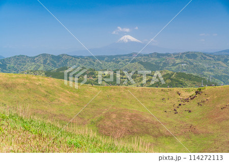 (静岡県)新緑の大室山・山頂の景観と後方に富士山 (静岡県)新緑の大室山・山頂の景観と後方に富士山 114272113