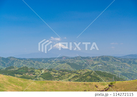 (静岡県)新緑の大室山・山頂の景観と後方に富士山 (静岡県)新緑の大室山・山頂の景観と後方に富士山 114272115