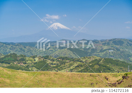 (静岡県)新緑の大室山・山頂の景観と後方に富士山 (静岡県)新緑の大室山・山頂の景観と後方に富士山 114272116