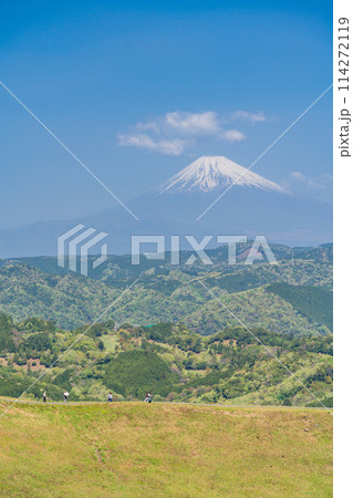 （静岡県）新緑の大室山・山頂の景観と後方に富士山 114272119
