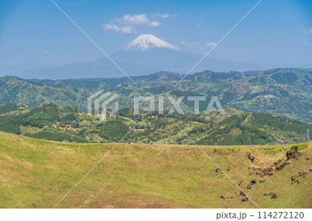 (静岡県)新緑の大室山・山頂の景観と後方に富士山 (静岡県)新緑の大室山・山頂の景観と後方に富士山 114272120