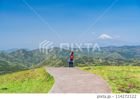 (静岡県)新緑の大室山・山頂の景観と後方に富士山 (静岡県)新緑の大室山・山頂の景観と後方に富士山 114272122