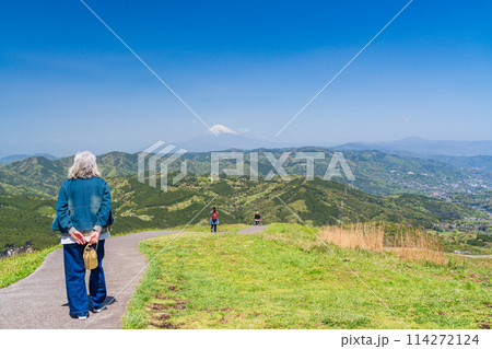 (静岡県)新緑の大室山・山頂の景観と後方に富士山 (静岡県)新緑の大室山・山頂の景観と後方に富士山 114272124