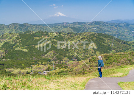 (静岡県)新緑の大室山・山頂の景観と後方に富士山 (静岡県)新緑の大室山・山頂の景観と後方に富士山 114272125
