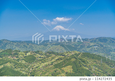 （静岡県）新緑の大室山・山頂から望む富士山 114272435