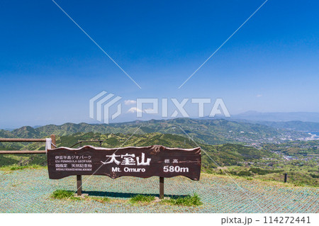 （静岡県）新緑の大室山・山頂から望む富士山 114272441