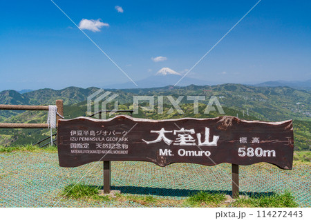 （静岡県）新緑の大室山・山頂から望む富士山 114272443