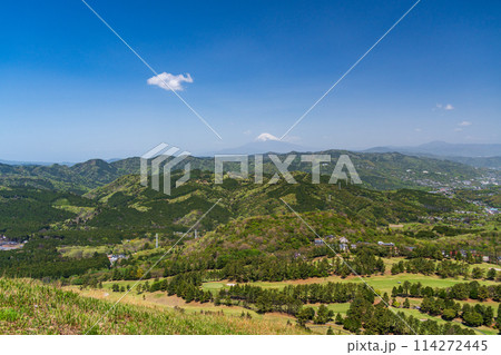 （静岡県）新緑の大室山・山頂から望む富士山 114272445