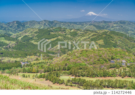 （静岡県）新緑の大室山・山頂から望む富士山 114272446