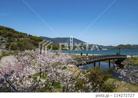 桜が満開の呉市下蒲刈島の大津泊庭園と安芸灘大橋 桜が満開の呉市下蒲刈島の大津泊庭園と安芸灘大橋 114272727