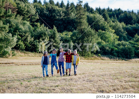 Portrait of young classmates, students during biology field teaching class, walking across meadow. Learning about ecosystem, ecology. Portrait of young classmates, students during biology field teaching class, walking across meadow. Learning about ecosystem, ecology. 114273504