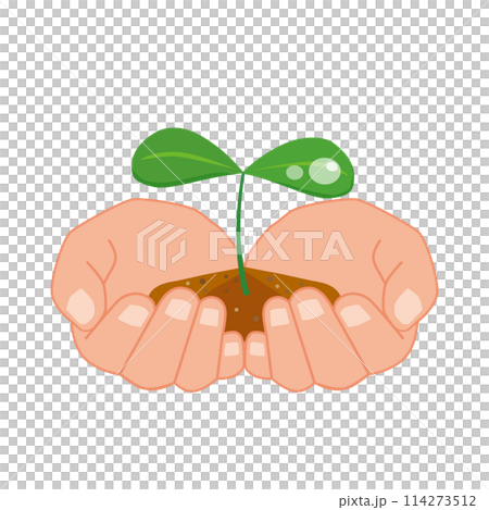 若葉を両手で包み込むイラスト 114273512