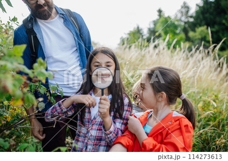 Young students learning about nature, forest ecosystem during biology field teaching class, observing wild plants with magnifying glass. Dedicated teachers during outdoor active education. Young students learning about nature, forest ecosystem during biology field teaching class, observing wild plants with magnifying glass. Dedicated teachers during outdoor active education. 114273613