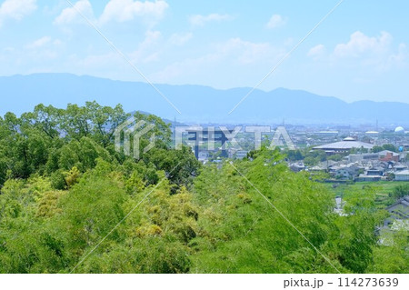 奈良 大神神社 久延彦神社から見える大鳥居の風景 奈良 大神神社 久延彦神社から見える大鳥居の風景 114273639