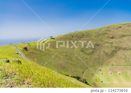 (静岡県)新緑の大室山・山頂火口 (静岡県)新緑の大室山・山頂火口 114273650