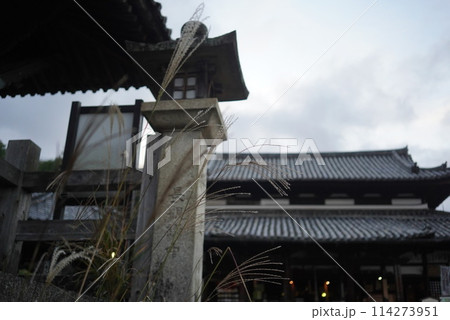 三井寺 ススキ越しの風景 三井寺 ススキ越しの風景 114273951