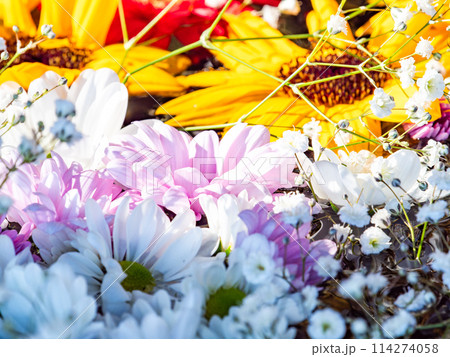 新春を彩るカラフルで楽しい花手水 114274058