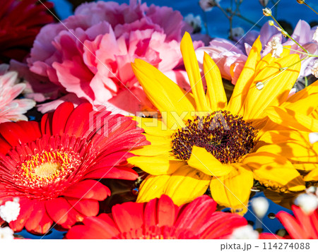 新春を彩るカラフルで楽しい花手水 新春を彩るカラフルで楽しい花手水 114274088