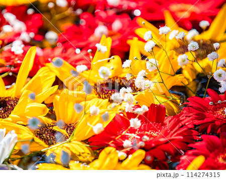 新春を彩るカラフルで楽しい花手水 114274315