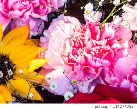 新春を彩るカラフルで楽しい花手水 新春を彩るカラフルで楽しい花手水 114274352