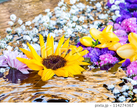 新春を彩るカラフルで楽しい花手水 114274367