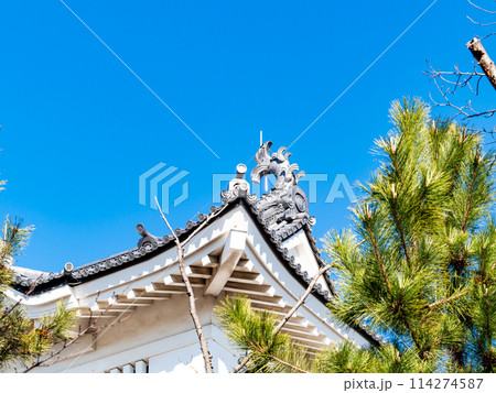 のぼうの城忍城跡の景色　難攻不落の落ちない城のディテール　青空の下で 114274587