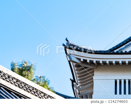 のぼうの城忍城跡の景色　難攻不落の落ちない城のディテール　青空の下で 114274603