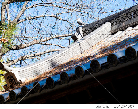 のぼうの城忍城跡の景色　難攻不落の落ちない城のディテール　青空の下で 114274607