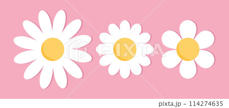 Cute chamomile flowers. Cute chamomile flower icons set on pink background. Chamomile or daisy with white petals. Plant flower head sign symbol. Vector illustration 114274635