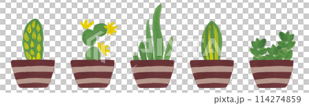 Beautiful floral border for decor design. Flower pots with cacti and succulents. Spring flora. Floral abstract illustration. Hand drawn. Modern Art. Design element 114274859