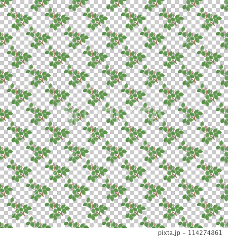 Succulent plant in a modern abstract simple style. Bright background of floral pattern. Forest seamless pattern in gouache. Modern abstract background template Succulent plant in a modern abstract simple style. Bright background of floral pattern. Forest seamless pattern in gouache. Modern abstract background template 114274861