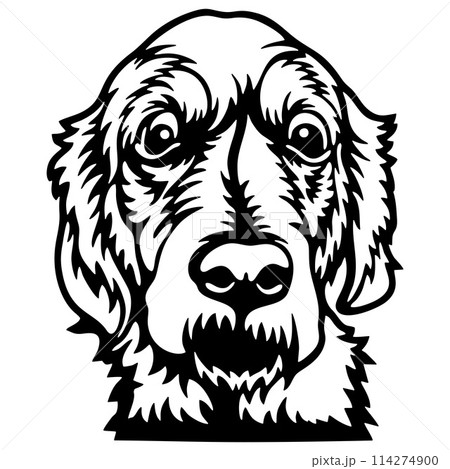 Peeking Golden Retriever - Dog lover owner gift - Dog cut file - Peeking Dog Cut Stencil 114274900