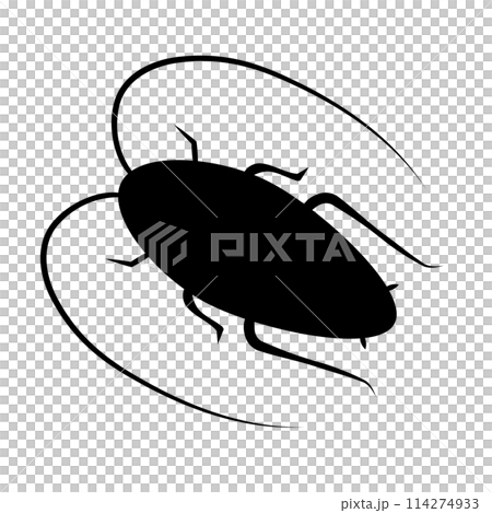 Cockroach silhouette 114274933