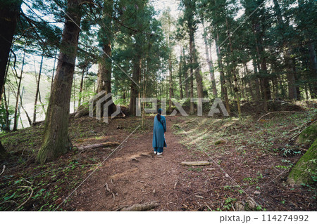 山登りをする女性 114274992