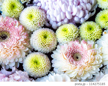 新春を彩るカラフルで楽しい花手水 114275185