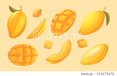 Mango. Tropical exotic sliced fruits mango exact vector healthy products 114275470
