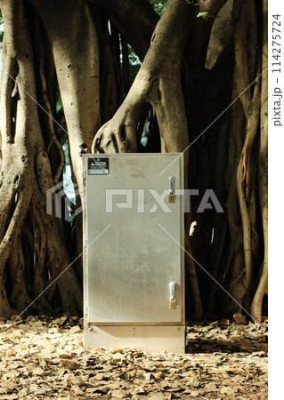 Electronic box 114275724