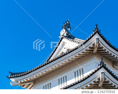 のぼうの城忍城跡の景色　難攻不落の落ちない城のディテール　青空の下で 114275910