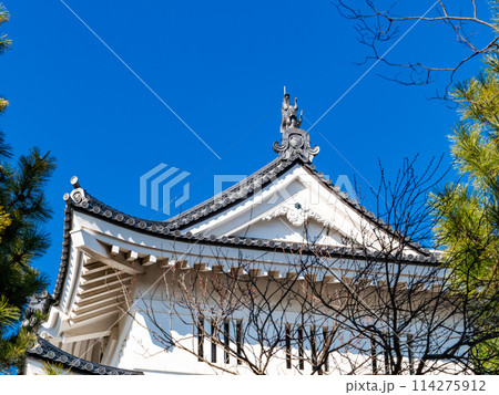 のぼうの城忍城跡の景色　難攻不落の落ちない城のディテール　青空の下で 114275912