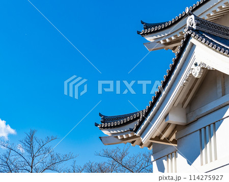 のぼうの城忍城跡の景色 難攻不落の落ちない城のディテール 青空の下で のぼうの城忍城跡の景色 難攻不落の落ちない城のディテール 青空の下で 114275927