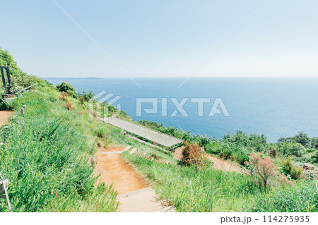 《静岡県》　熱海のACAO FOREST　SNS映えスポット　ハンモックベンチ 114275935