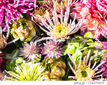 新春を彩るカラフルで楽しい花手水 新春を彩るカラフルで楽しい花手水 114275977