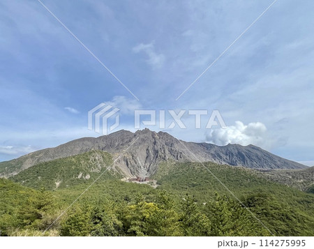 【鹿児島】湯之平展望所から見た桜島 114275995