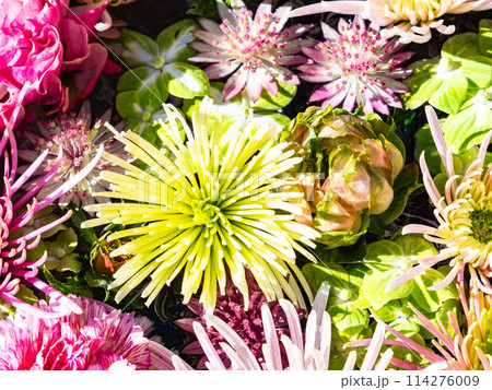 新春を彩るカラフルで楽しい花手水 114276009