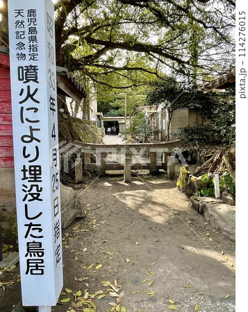 【鹿児島】桜島の黒神埋没鳥居 【鹿児島】桜島の黒神埋没鳥居 114276015