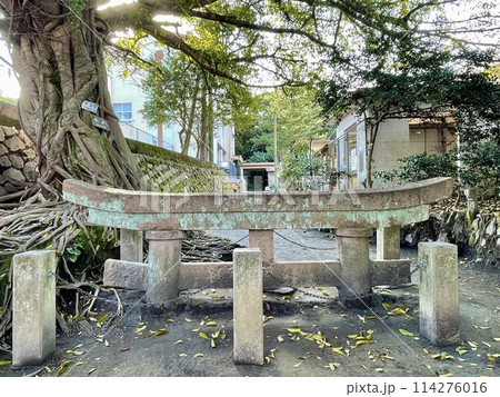 【鹿児島】桜島の黒神埋没鳥居 【鹿児島】桜島の黒神埋没鳥居 114276016