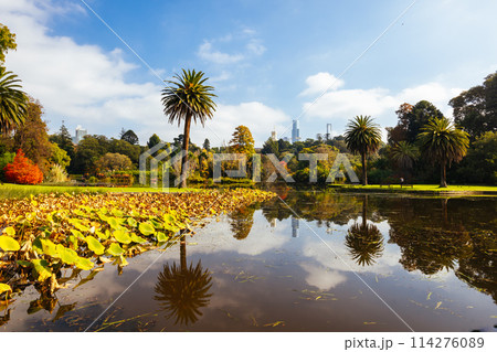 Royal Botanic Gardens in Melbourne Australia 114276089