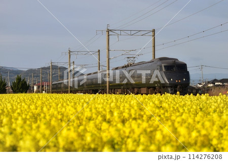 菜の花畑を行くJR九州787系 114276208