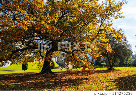 Shrine of Remembrance in Melbourne Australia 114276259